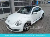 2015 Volkswagen BEETLE