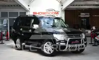 2016 Mitsubishi PAJARO