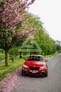 2016 BMW 220