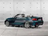 2016 BMW 220