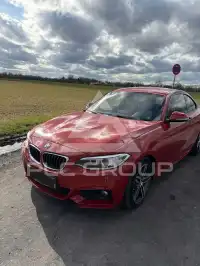 2016 BMW 220