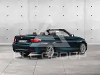 2016 BMW 220