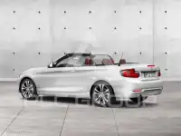 2016 BMW 220