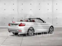 2016 BMW 220