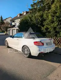 2016 BMW 220