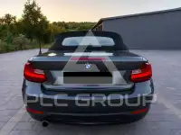 2016 BMW 220