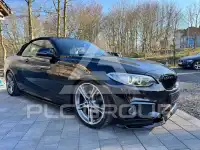2016 BMW 220