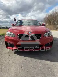 2016 BMW 220
