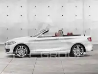 2016 BMW 220