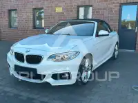 2016 BMW 220