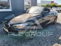 2016 BMW 218