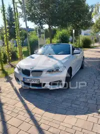 2016 BMW 228