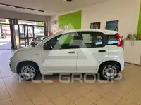 2016 Fiat Panda
