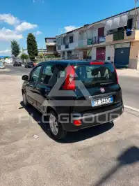 2016 Fiat Panda