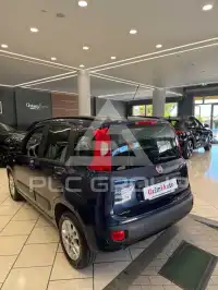 2016 Fiat Panda