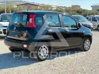 2016 Fiat Panda