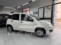2016 Fiat Panda