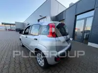 2016 Fiat Panda