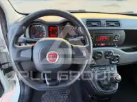 2016 Fiat Panda