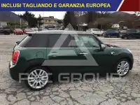 2016 Mini Unknown