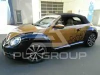 2016 Volkswagen BEETLE