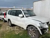 2017 Mitsubishi PAJARO