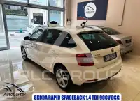 2017 Skoda Rapid