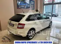 2017 Skoda Rapid