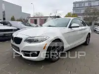 2017 BMW 230