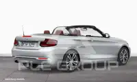 2017 BMW 220