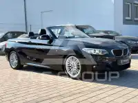2017 BMW 220
