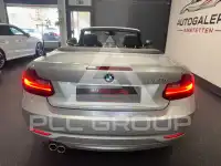 2017 BMW 220