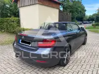 2017 BMW 220