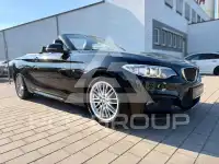 2017 BMW 220