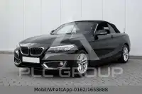 2017 BMW 220