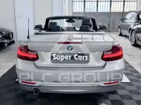 2017 BMW 218