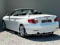 2017 BMW 218