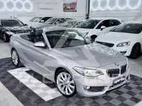 2017 BMW 218