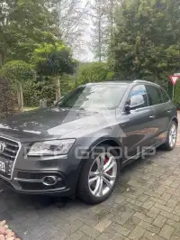 2017 Audi SQ5
