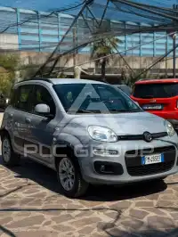2017 Fiat Panda