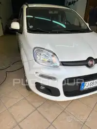 2017 Fiat Panda