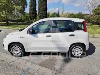2017 Fiat Panda