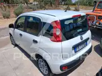 2017 Fiat Panda