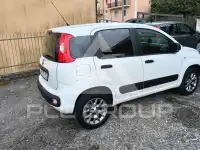 2017 Fiat Panda