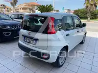 2017 Fiat Panda