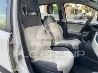 2017 Fiat Panda