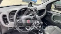 2017 Fiat Panda