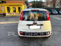 2017 Fiat Panda