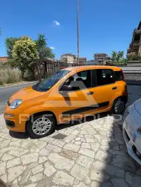 2017 Fiat Panda