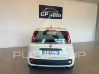 2017 Fiat Panda